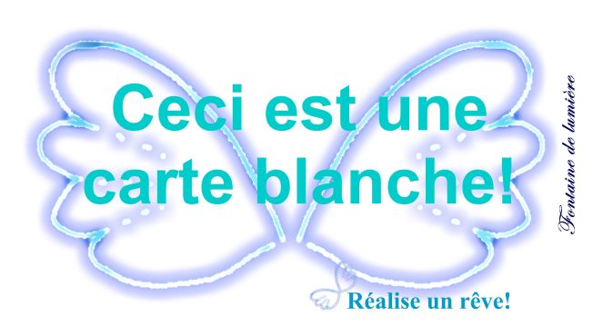 carte blanche-001web grand