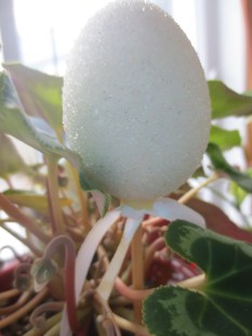 ???????????????????????????????