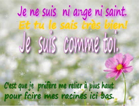 10336697_838150609530052_1185352154617358898_n